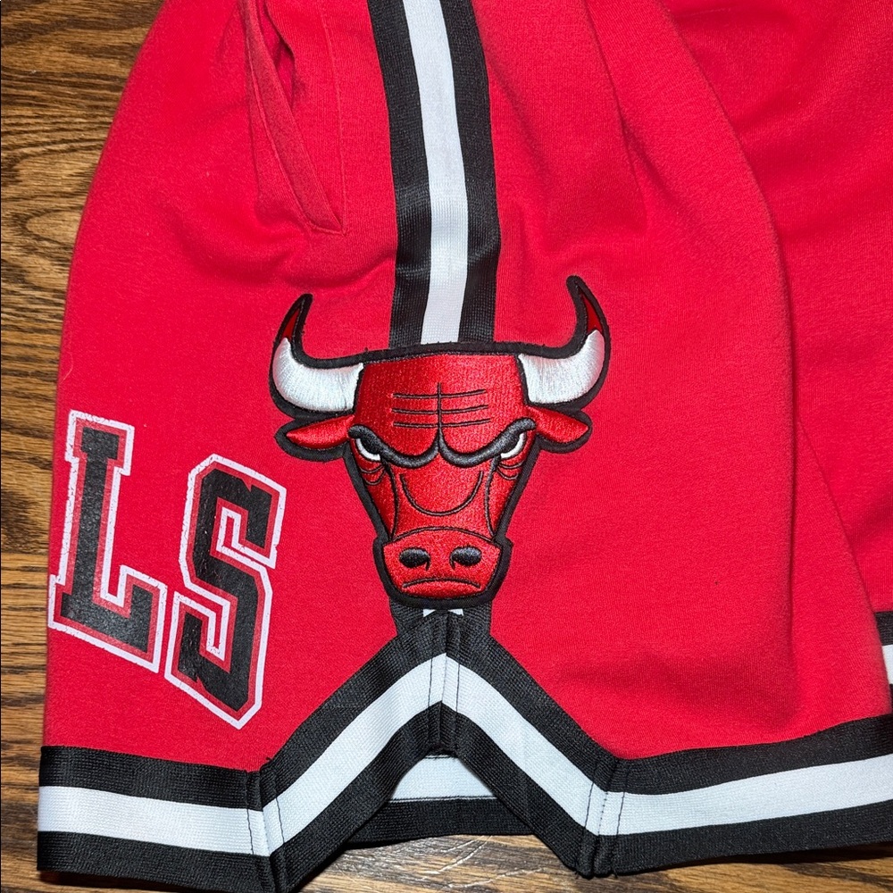 NBA CHICAGO BULLS CLASSIC MEN'S SHORT PRO Standard Sz M - Picture 10 of 12